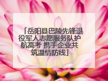 岳阳县巴陵先锋退役军人志愿服务队护航高考 携手企业共筑温情防线