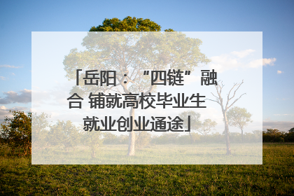 岳阳：“四链”融合 铺就高校毕业生就业创业通途