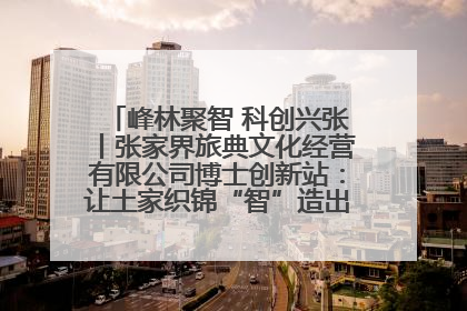 峰林聚智 科创兴张丨张家界旅典文化经营有限公司博士创新站：让土家织锦“智”造出非遗新传奇