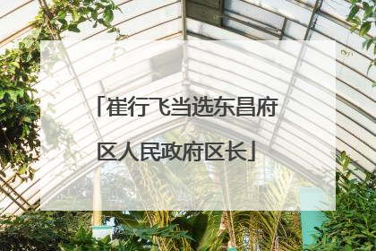 崔行飞当选东昌府区人民政府区长