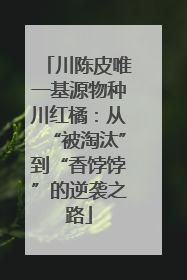川陈皮唯一基源物种川红橘：从“被淘汰”到“香饽饽”的逆袭之路