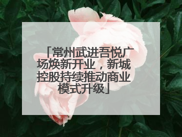 常州武进吾悦广场焕新开业，新城控股持续推动商业模式升级
