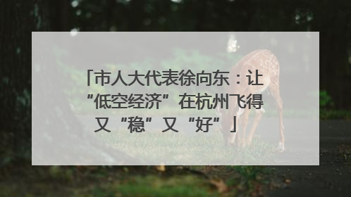 市人大代表徐向东：让“低空经济”在杭州飞得又“稳”又“好”
