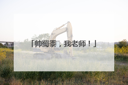 帅蜀黍，我老师！