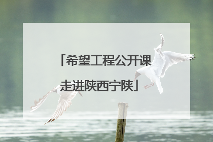 希望工程公开课走进陕西宁陕