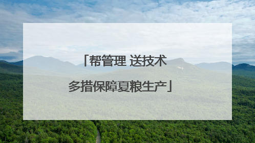 帮管理 送技术 多措保障夏粮生产