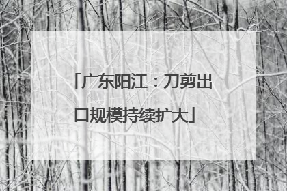 广东阳江：刀剪出口规模持续扩大