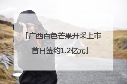 广西百色芒果开采上市 首日签约1.2亿元