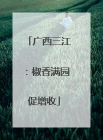 广西三江：椒香满园促增收