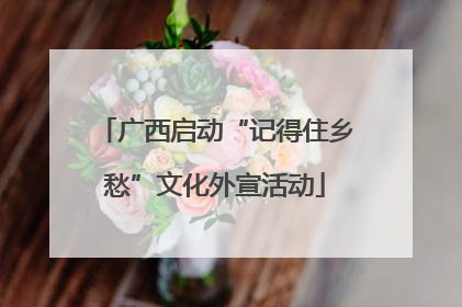 广西启动“记得住乡愁”文化外宣活动