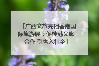 广西文旅亮相香港国际旅游展：促桂港文旅合作 引客入壮乡
