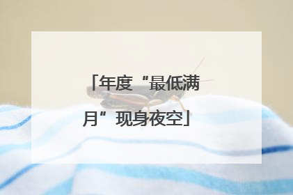 年度“最低满月”现身夜空