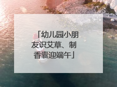 幼儿园小朋友识艾草、制香囊迎端午