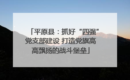 平原县：抓好“四强”党支部建设 打造党旗高高飘扬的战斗堡垒