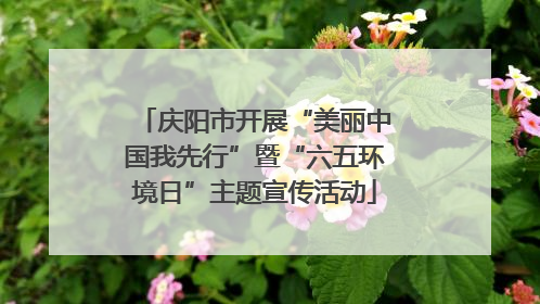 庆阳市开展“美丽中国我先行”暨“六五环境日”主题宣传活动