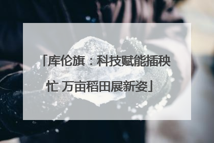 库伦旗：科技赋能插秧忙 万亩稻田展新姿