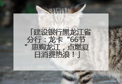 建设银行黑龙江省分行：龙卡“66节”惠购龙江，点燃夏日消费热浪！