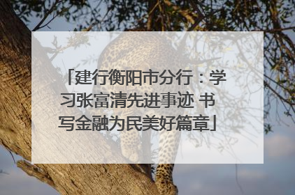 建行衡阳市分行：学习张富清先进事迹 书写金融为民美好篇章