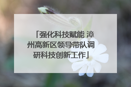 强化科技赋能 漳州高新区领导带队调研科技创新工作