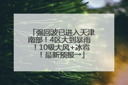 强回波已进入天津南部！4区大到暴雨！10级大风+冰雹！最新预报→