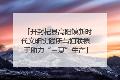 开封杞县高阳镇新时代文明实践所与妇联携手助力“三夏”生产
