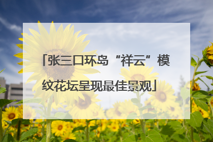 张三口环岛“祥云”模纹花坛呈现最佳景观