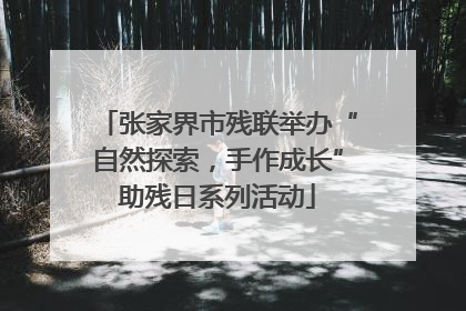 张家界市残联举办“自然探索，手作成长”助残日系列活动