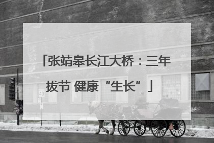 张靖皋长江大桥：三年拔节 健康“生长”