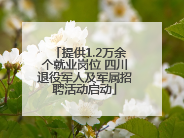 提供1.2万余个就业岗位 四川退役军人及军属招聘活动启动