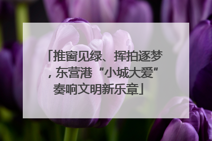 推窗见绿、挥拍逐梦，东营港“小城大爱”奏响文明新乐章