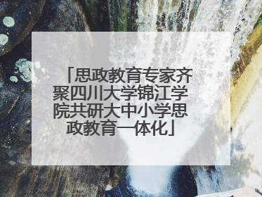 思政教育专家齐聚四川大学锦江学院共研大中小学思政教育一体化