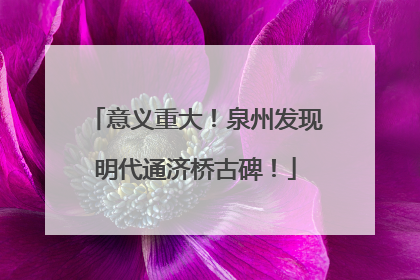 意义重大！泉州发现明代通济桥古碑！