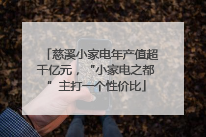 慈溪小家电年产值超千亿元，“小家电之都”主打一个性价比