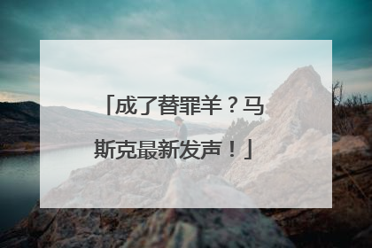 成了替罪羊？马斯克最新发声！