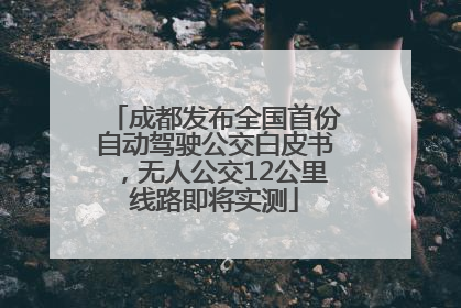 成都发布全国首份自动驾驶公交白皮书，无人公交12公里线路即将实测
