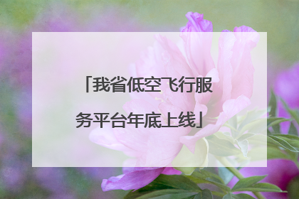 我省低空飞行服务平台年底上线