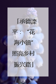 承德滦平：“花海小镇”照亮乡村振兴路