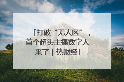 打破“无人区”，首个超头主播数字人来了｜热财经