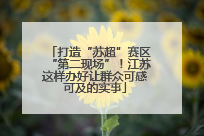 打造“苏超”赛区“第二现场”！江苏这样办好让群众可感可及的实事