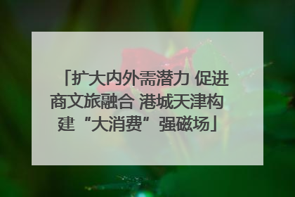 扩大内外需潜力 促进商文旅融合 港城天津构建“大消费”强磁场