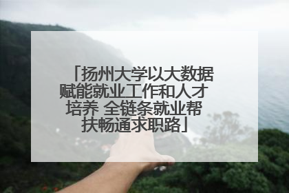 扬州大学以大数据赋能就业工作和人才培养 全链条就业帮扶畅通求职路