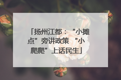 扬州江都：“小摊点”旁讲政策 “小爬爬”上话民生
