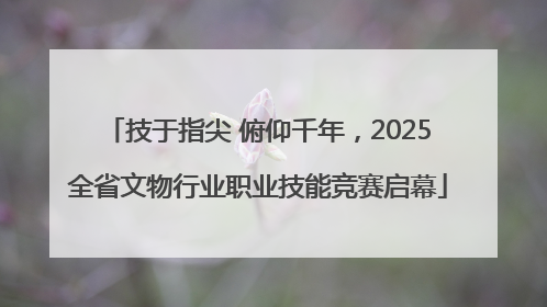 技于指尖 俯仰千年，2025全省文物行业职业技能竞赛启幕