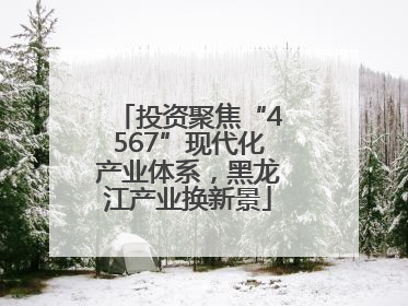 投资聚焦“4567”现代化产业体系，黑龙江产业换新景