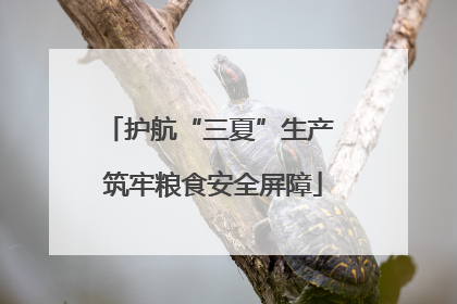 护航“三夏”生产 筑牢粮食安全屏障
