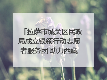 拉萨市城关区民政局成立银领行动志愿者服务团 助力西藏银发经济发展