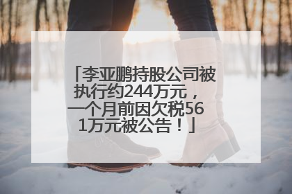 李亚鹏持股公司被执行约244万元，一个月前因欠税561万元被公告！