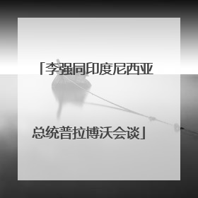李强同印度尼西亚总统普拉博沃会谈