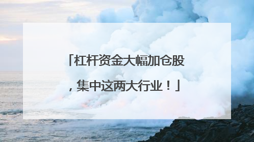 杠杆资金大幅加仓股，集中这两大行业！