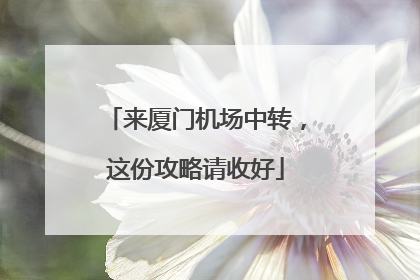 来厦门机场中转，这份攻略请收好